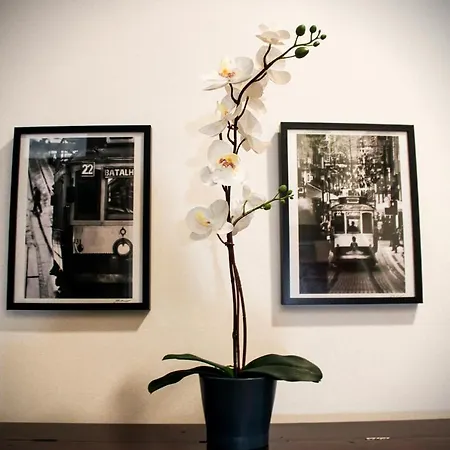 By Doors אכסניה